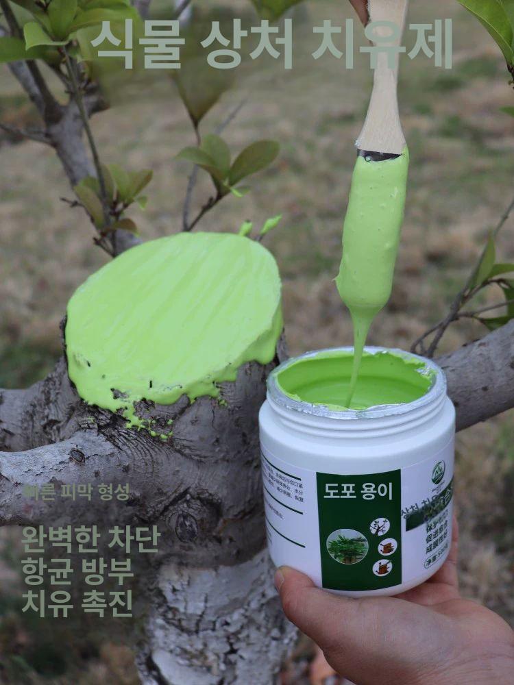 나무 상처 치료제 보호제 도포제 수목 조경 과수 줄기 코팅제 - 상세 이미지 2