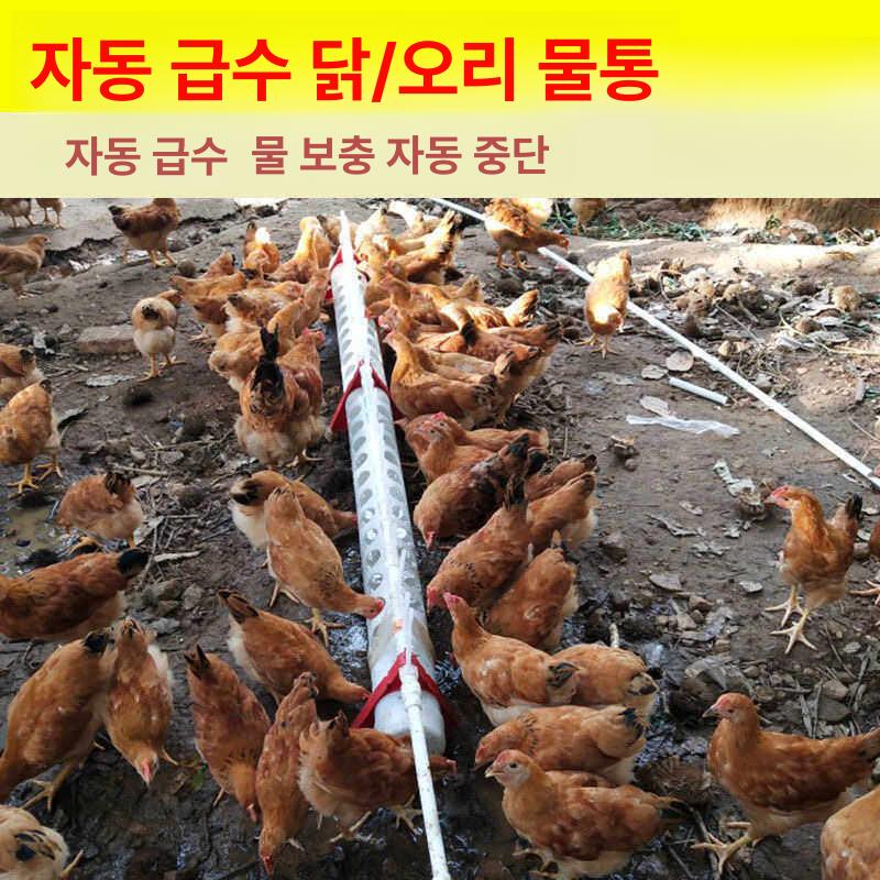 닭 급수기 식수대 자동급수 음수대 오리 장비 양계장 물그릇 축사 농장 닭물통 말 병아리 - 상세 이미지 4