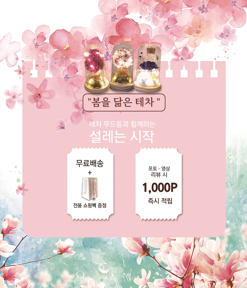 드라이플라워 프리저브드플라워 유리돔 장미 꽃 여친선물 안개꽃핑크 - 상세 이미지 2