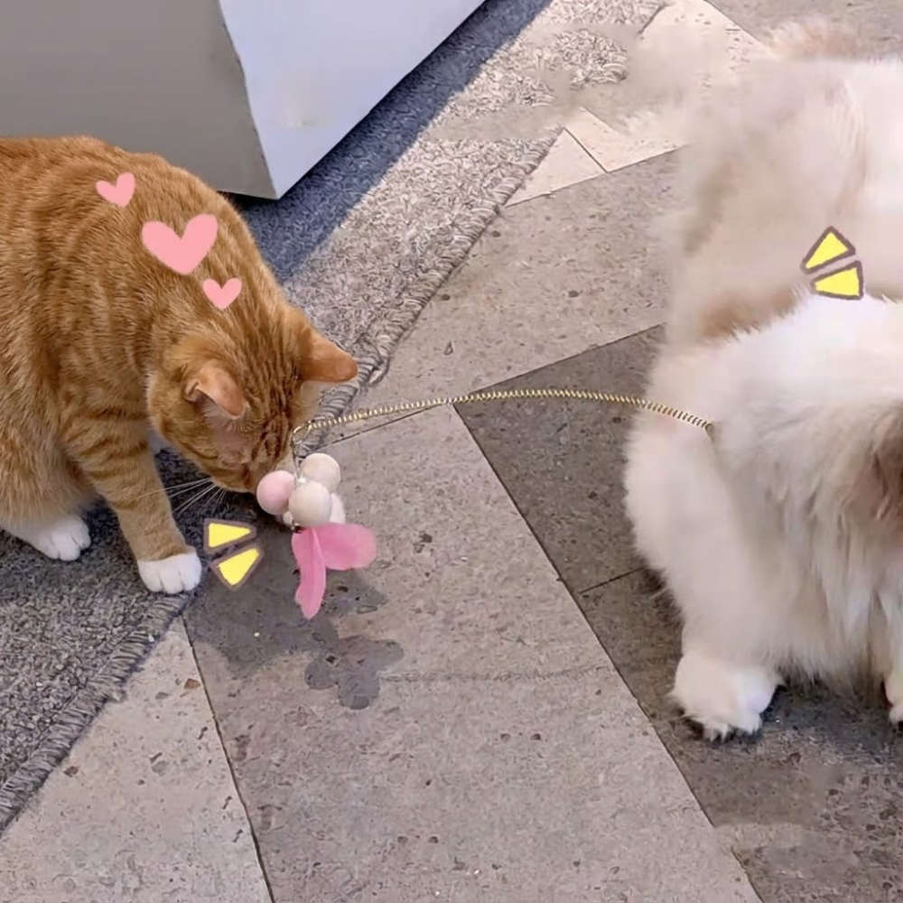 다묘집사 고양이 혼자노는 어디서든 설치 낚시대 - 상품 이미지