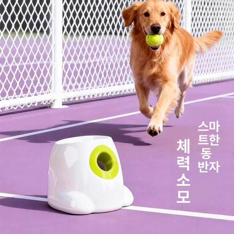 강아지 공 발사기 중형견용 던지기 터그놀이 반려견 셀프 소형 충전식 볼 머신 볼 세트 포함 - 상세 이미지 5