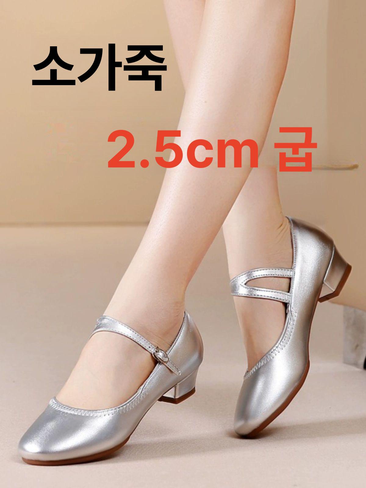 발 편한 댄스화 구두 실버 낮은 2.5cm 여성 실버 2.5cm 34 - 상세 이미지 2
