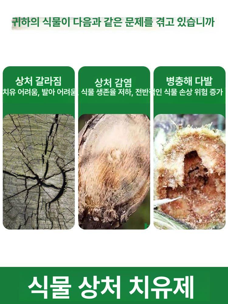 나무 상처 치료제 보호제 도포제 수목 조경 과수 줄기 코팅제 - 상세 이미지 3