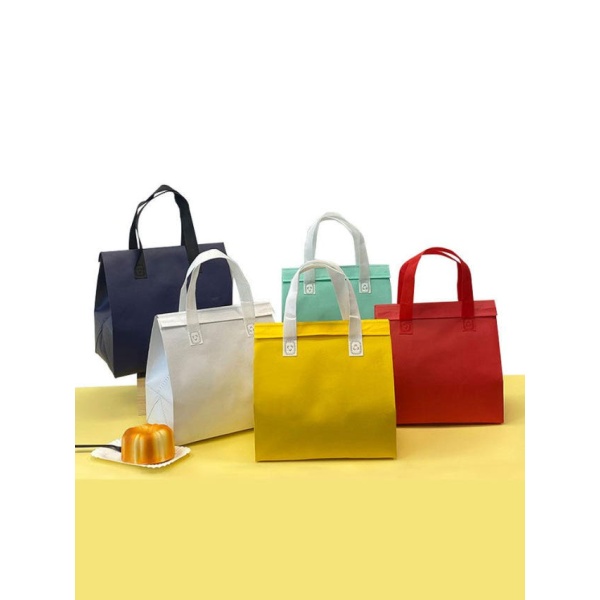 프리미엄 도시락 케이크 보냉가방 보온가방 포장용 단열 티파니그린 소형 21 x 26x11cm 50개입 맞춤 주문 소형 21 x 26x11cm 50개입 - 상품 이미지