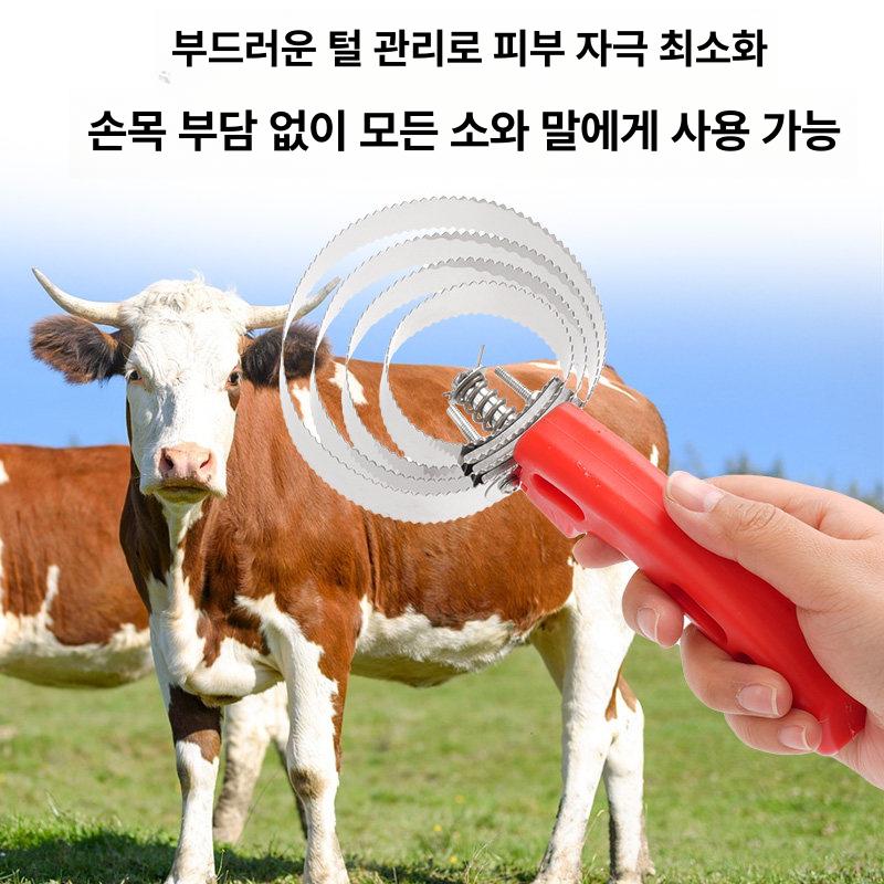 동물용 소빗 대형견빗 말빗 가축 털갈이 송아지빗 머리 4링 - 상세 이미지 2