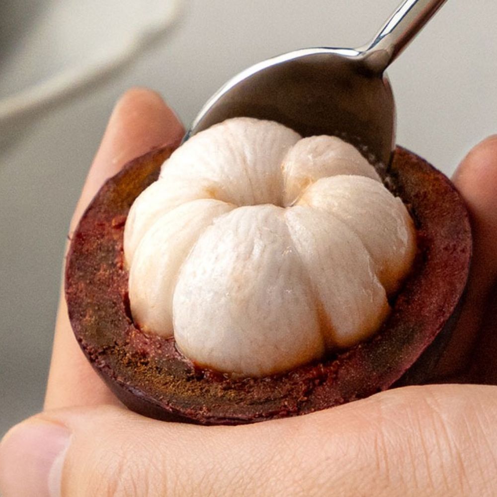 망고스틴 제철 베트남 태국 생망고스틴 과일 500g 1kg - 상품 이미지