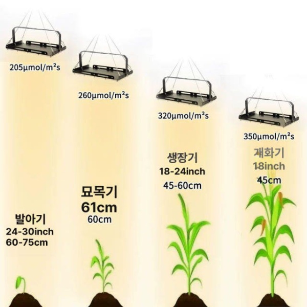 프리미엄 식물 LED 라이트 50W 성장 스탠드 포함 화분 실내 과일 화초 50W - 상세 이미지 5