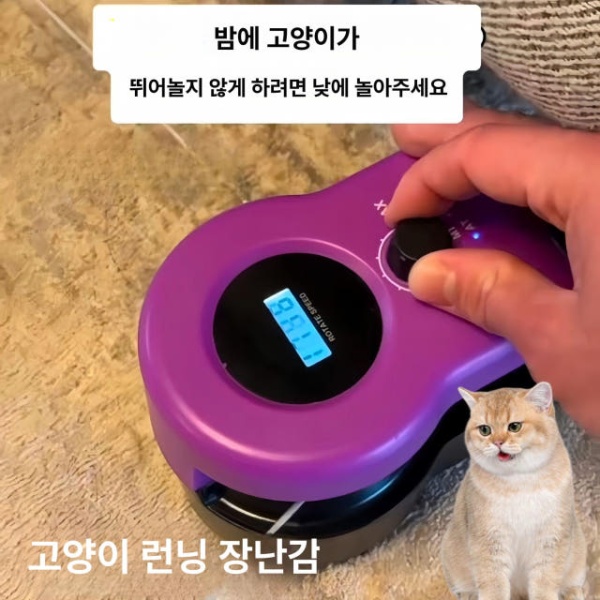 프리미엄 고양이 깃털 움직이는 셀프 회피 감지 놀이 장난감 새끼 로열블루 캣 티저 로열블루 캣 티저 - 상세 이미지 2
