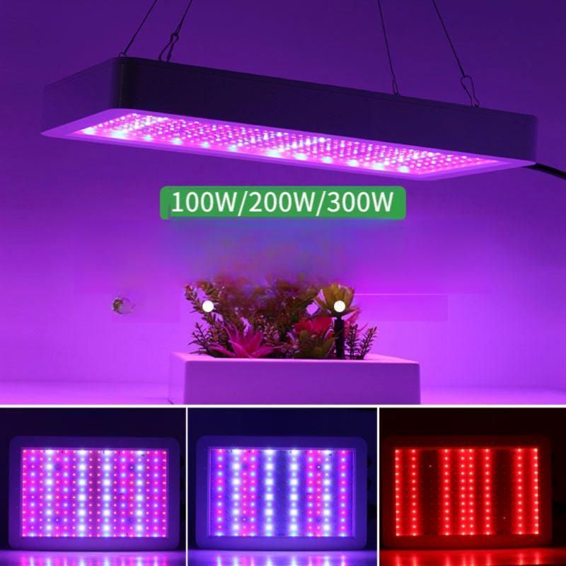 led uv 경화기 식물 성장등 조명등 온실등 칼라전구 라이트 - 상품 이미지