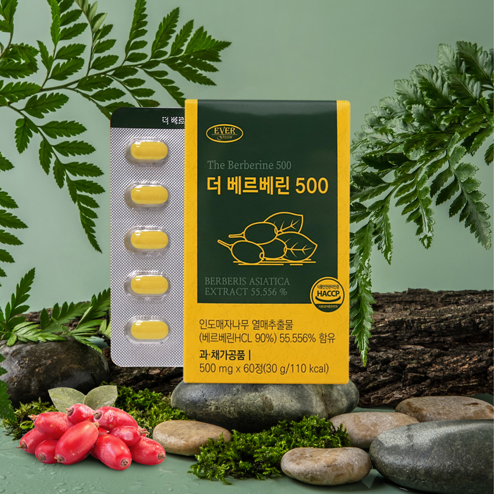 [3개월] 비타르르 씨르베린 매자나무열매 베르베린 500mg x 60정, 3개 - 상세 이미지 5