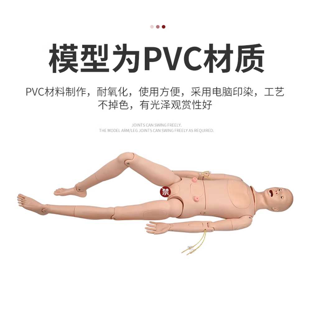 간호실습 인체 모형 도뇨기 올인원 용 마네킹 모델 도구 A - 상세 이미지 5
