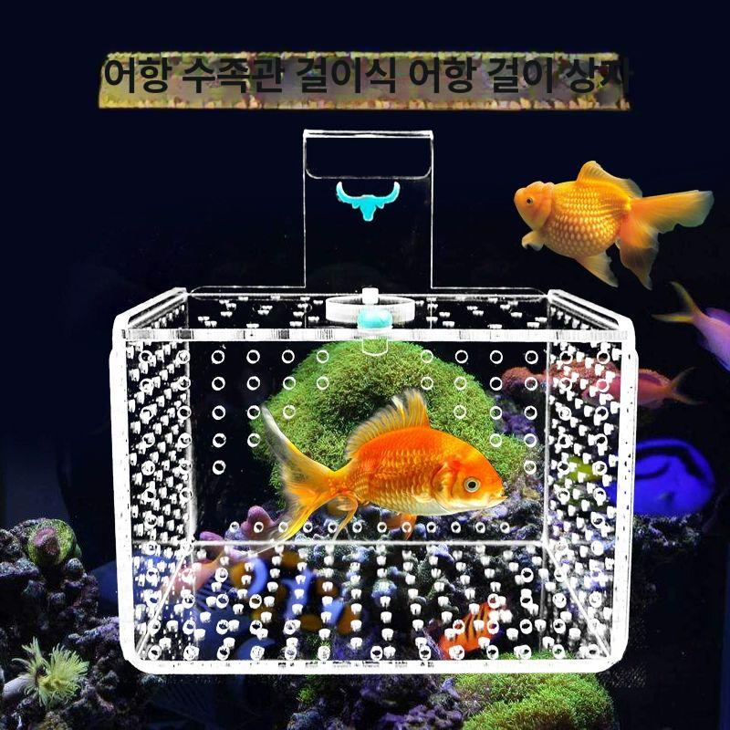 구피 치어 부화통 수조 아크릴 물고기 어항 격리 소형 대형 (1mm 소구멍) - 상세 이미지 3