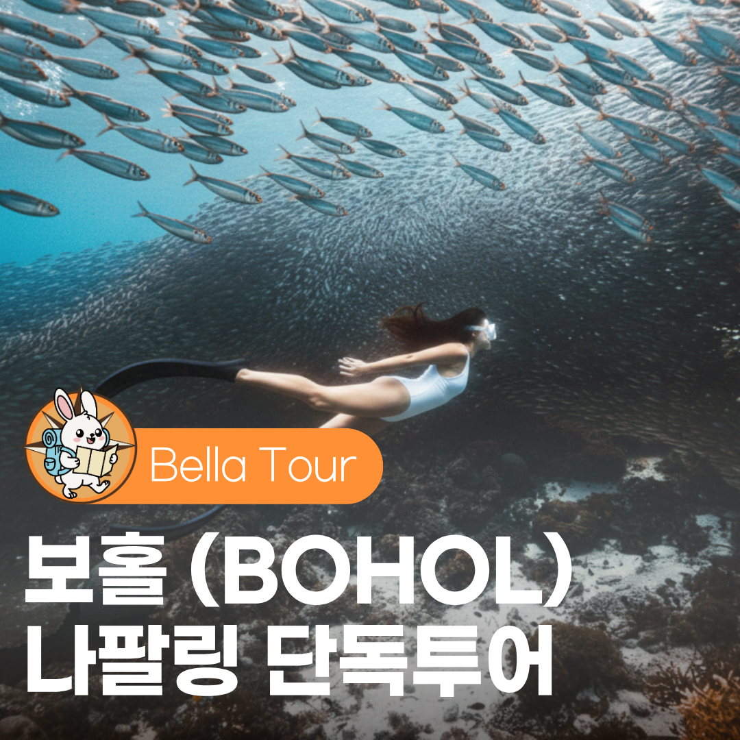 보홀 나팔링 투어 프리다이빙 스노쿨링 단독 수중촬영 히낙다난동굴 대왕조개 추가 - 상품 이미지
