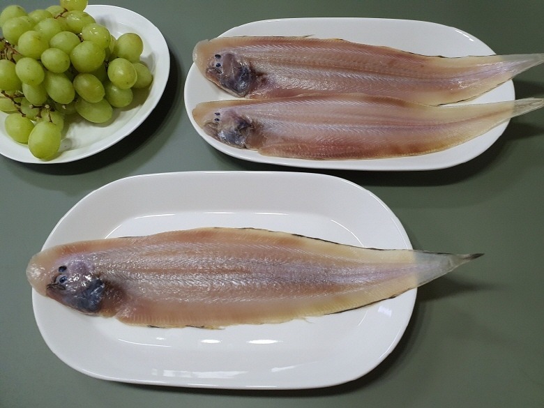 박대 군산 반건조박대 서대 구이 말린생선 제수용 조림 이미지 6