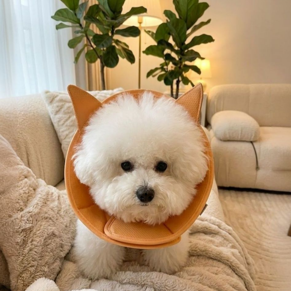드림베이스 강아지 고양이 넥카라 경량 3D메쉬 수술 상처보호 발사탕 포근시바, S - 상세 이미지 3