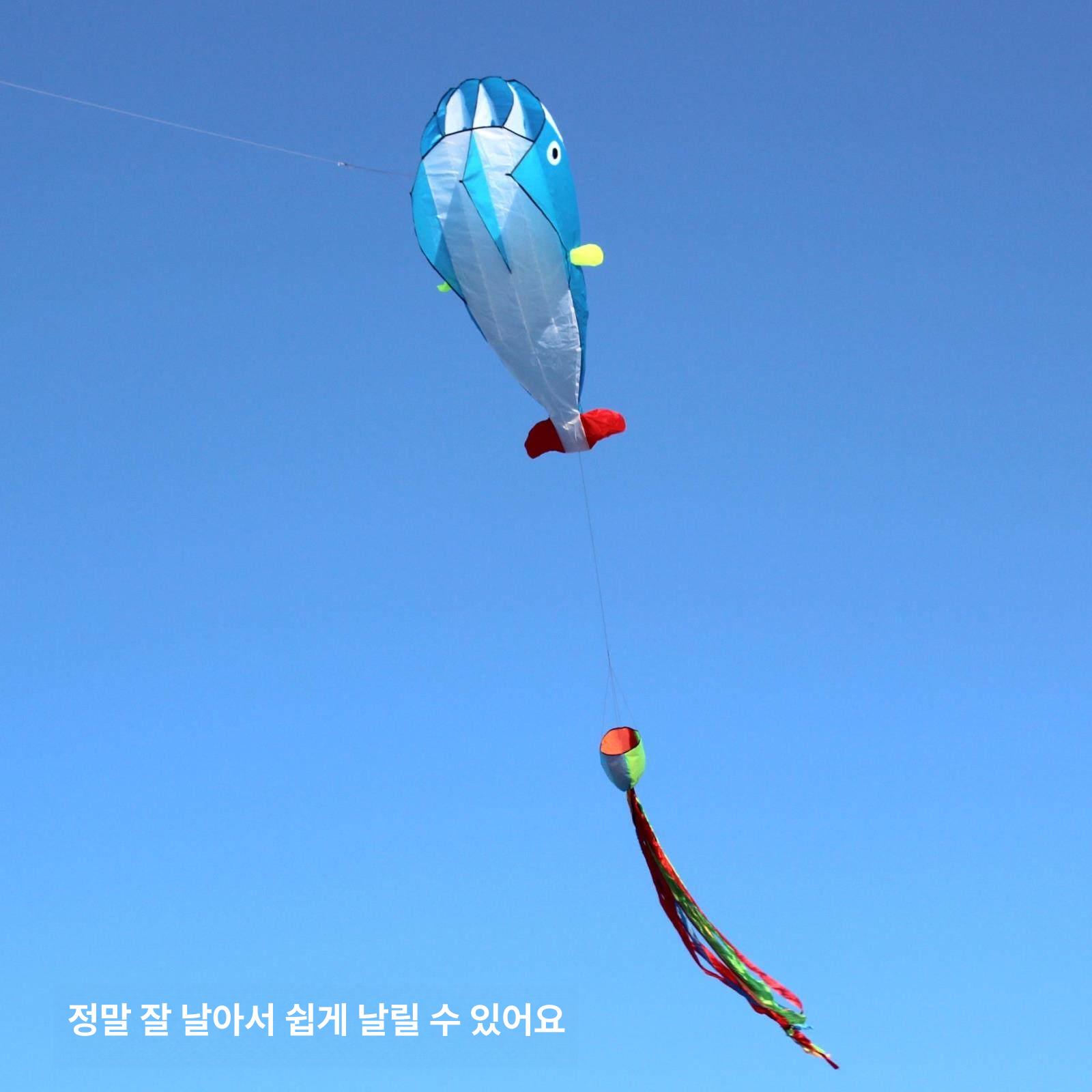 대형 날리기 연 야외 캠핑 장난감 고래 + 18 블루 락휠 300m 3 - 상세 이미지 4