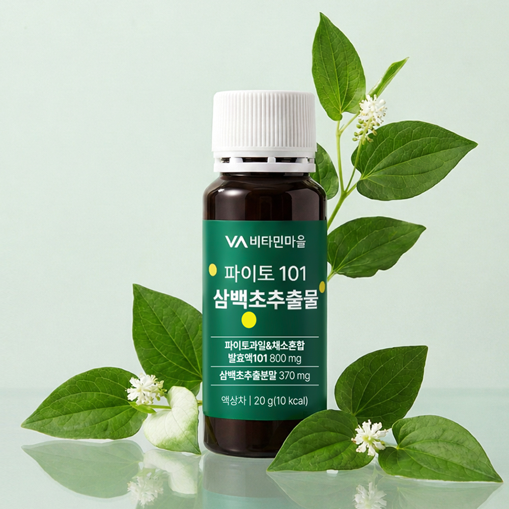 비타민마을 파이토 101 삼백초추출물 20g 10개입, 1개 - 상세 이미지 5