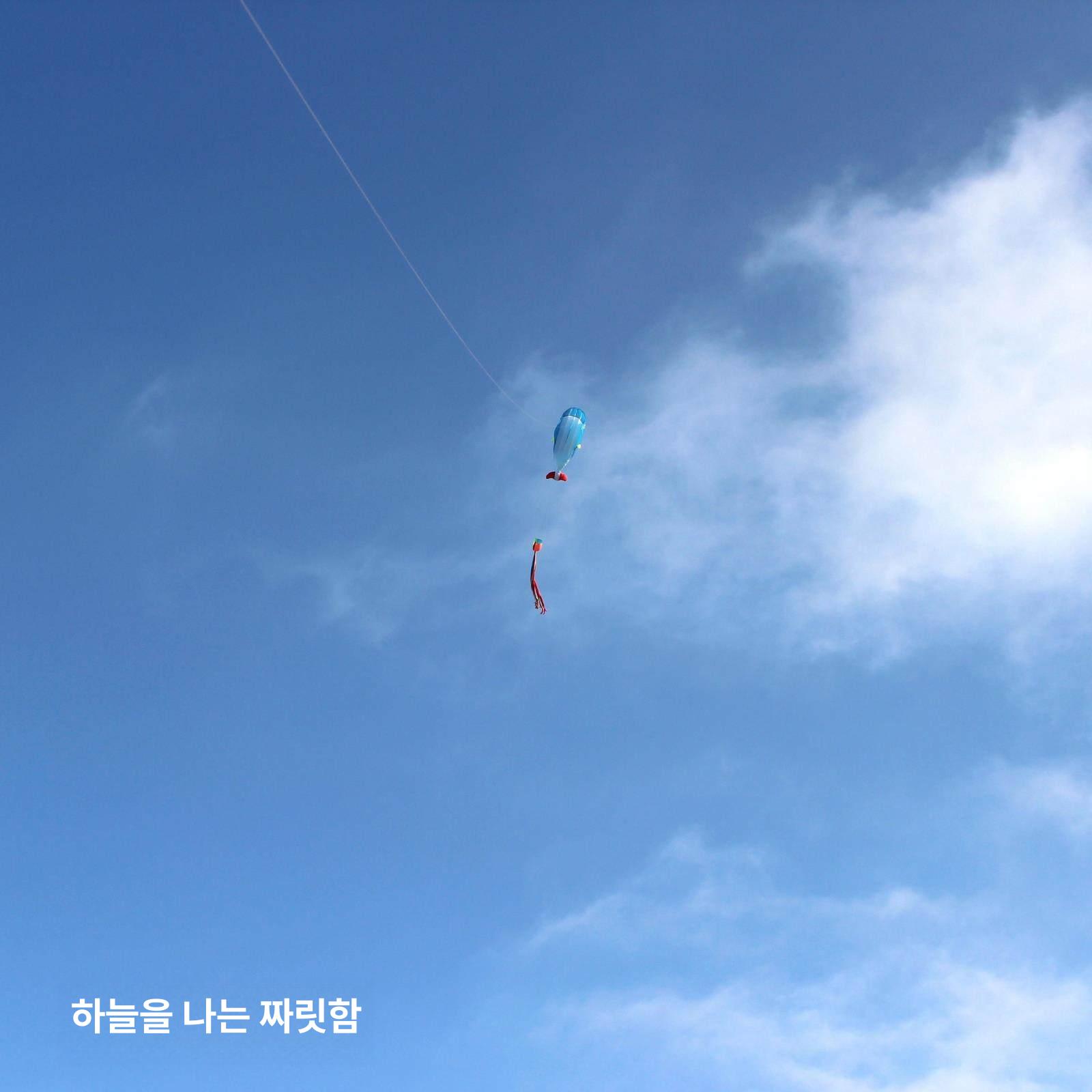 대형 날리기 연 야외 캠핑 장난감 고래 + 18 블루 락휠 300m 3 - 상세 이미지 5