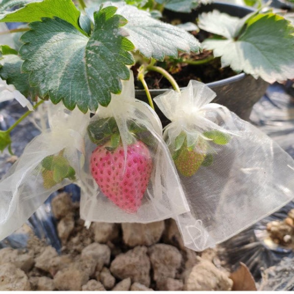 프리미엄 과수원 재사용 포장지 망사 봉투 딸기 복숭아 그물망 9 x 12cm 50개 9 x 12cm 1개 - 상세 이미지 2