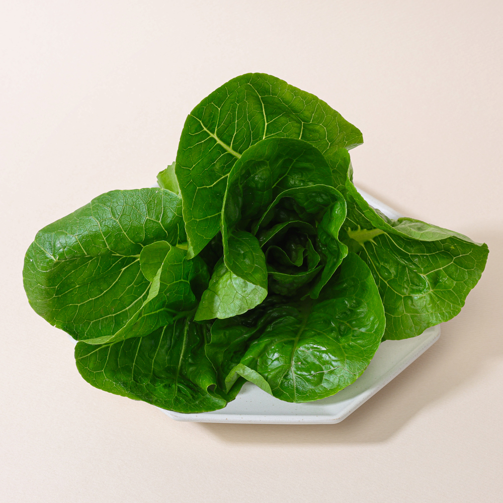 산지직송 유러피안 샐러드 야채 채소 유럽상추 4종 이상 1kg 이미지 6