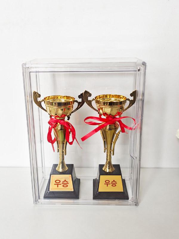 프리미엄 아크릴 트로피 보관함 진열장 전시 디스플레이 10 x 10cm 높이 40cm - 상세 이미지 3