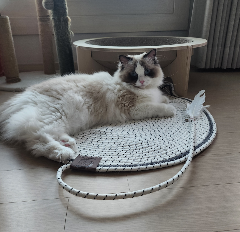 그램도그 고양이 원형 스크래쳐 매트 대형 러그 까페트 이미지 3