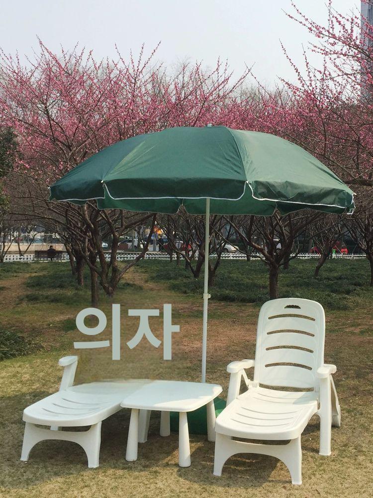 선베드 비치 해변 매우 리조트 의자 야외 고급 플라스틱 리클라이너 초두꺼운 플러시 무게 14kg - 상세 이미지 2