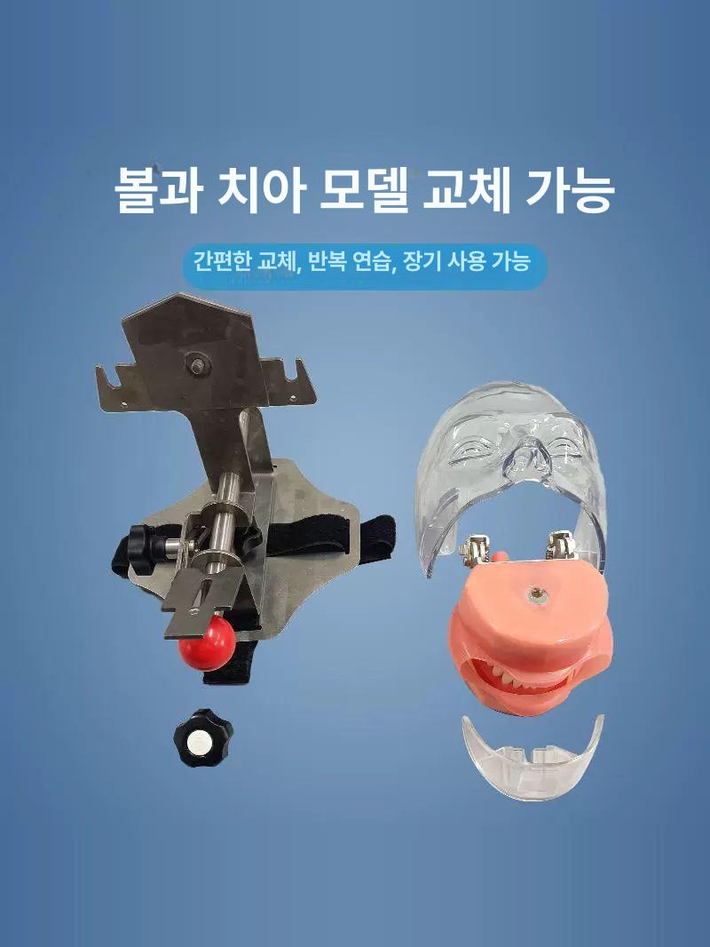실습용 치과 마네킹 더미 치위생사 교보재 구강 M1003 치과 의자 머리 받침대 - 상세 이미지 3