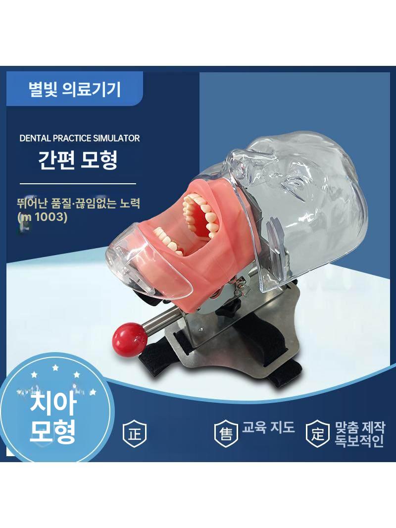 실습용 치과 마네킹 더미 치위생사 교보재 구강 M1003 치과 의자 머리 받침대 - 상세 이미지 2