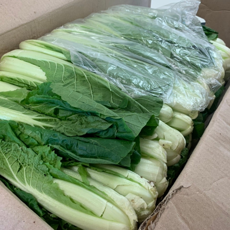 윗집아들네 윗집아들네 포천 얼갈이 배추 얼가리 2kg 4kg 8kg - 상세 이미지 5