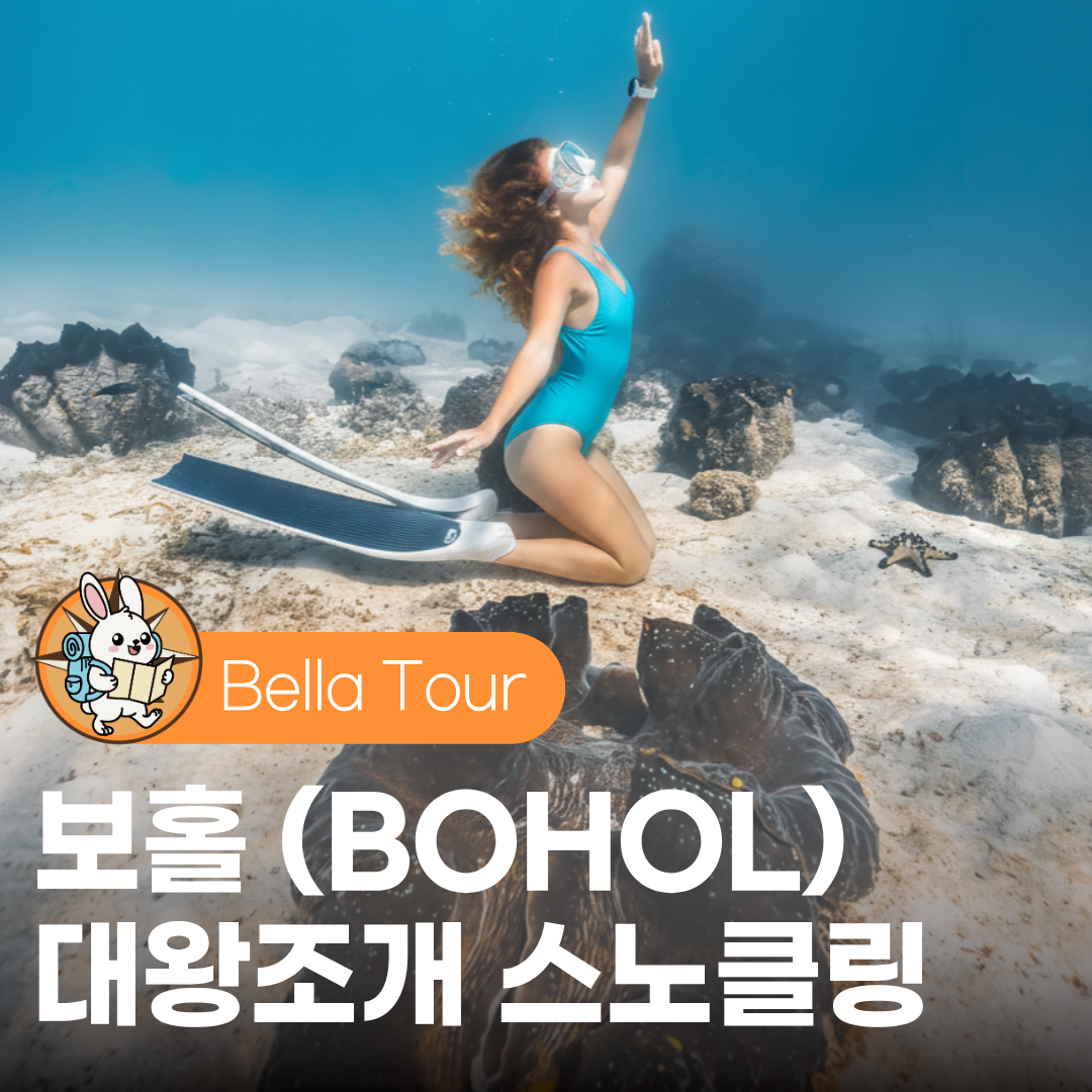 보홀 대왕조개 투어 프리다이빙 스노쿨링 단독 수중촬영 나팔링 히낙다난동굴 추가가능 - 상품 이미지