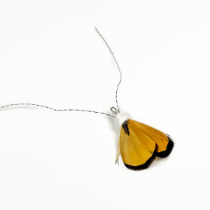 ABIBI'S GOMULSANG 수제 고양이리필장난감 화이트버그 솔직 후기 | 실제 사용자 리뷰 총정리 - 상품 이미지 4