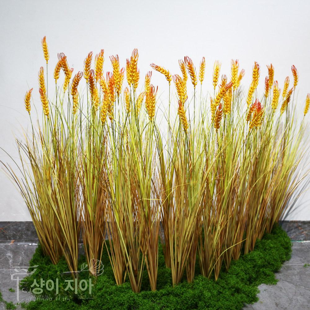 벼 이삭 가짜 빈티지 영구 조화 데코 사계절 장식품 대표 이미지 세트 18줄기 + 밀싹 16줄기 - 상세 이미지 3