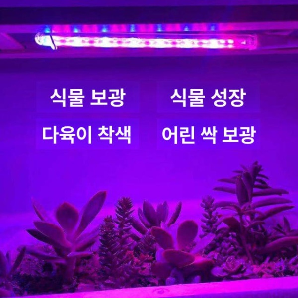 최강 아웃도어 보트 카약 딩기 패들 보드용 내비게이션 단일 식물등 범용 램프 폴 단일 식물등 - 상세 이미지 2