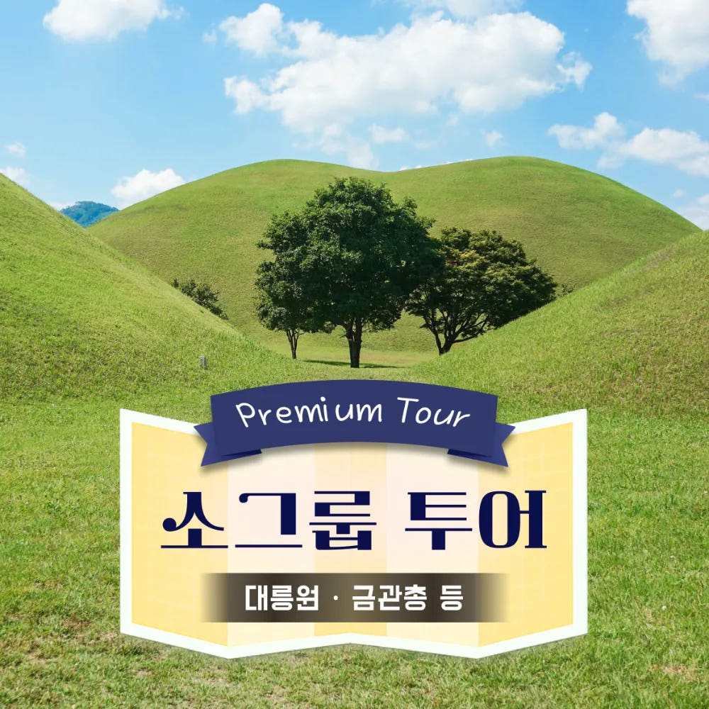 경주 대릉원 금관총 신라왕릉 도슨트 참여수업 6~10명 소그룹 가격 비교 아이고고 경주 대릉원 금관총 신라왕릉 도슨트 참여수업 6~10명 소그룹