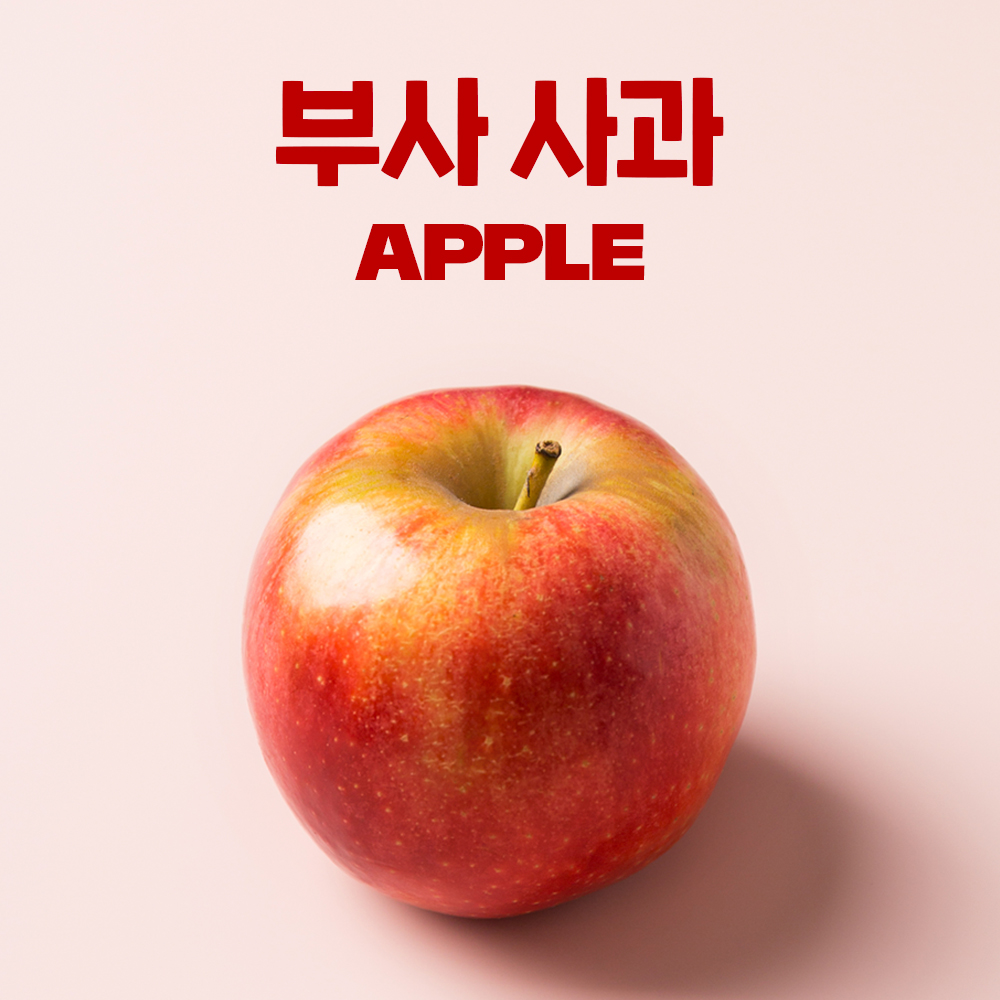 고당도 경북 부사 꿀 사과 2.2kg, 1개 - 상품 이미지