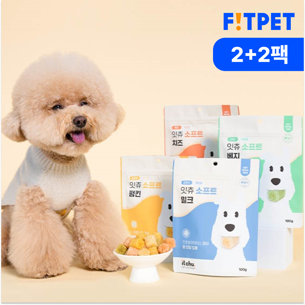 잇츄 소프트 100g 2+2 부드러운 강아지 간식 말랑한 노견 덴탈껌 솔직 후기 | 실제 사용자 리뷰 총정리 - 대표 이미지