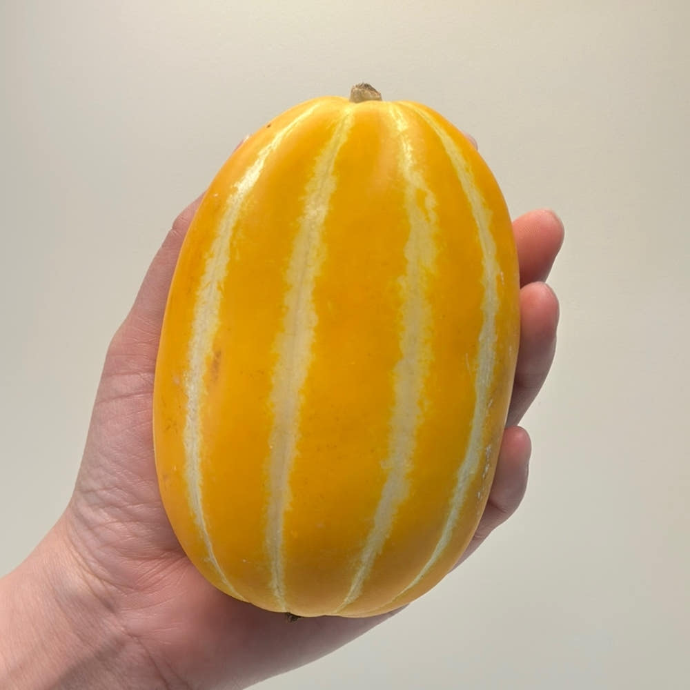 성주참외 가정용 3kg