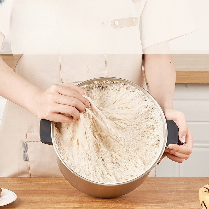 가정용 반죽기 발효기 SUS304 올스텐 대용량 밀가루 빵 피자 제빵 반죽 숙성 자동 - 상세 이미지 2