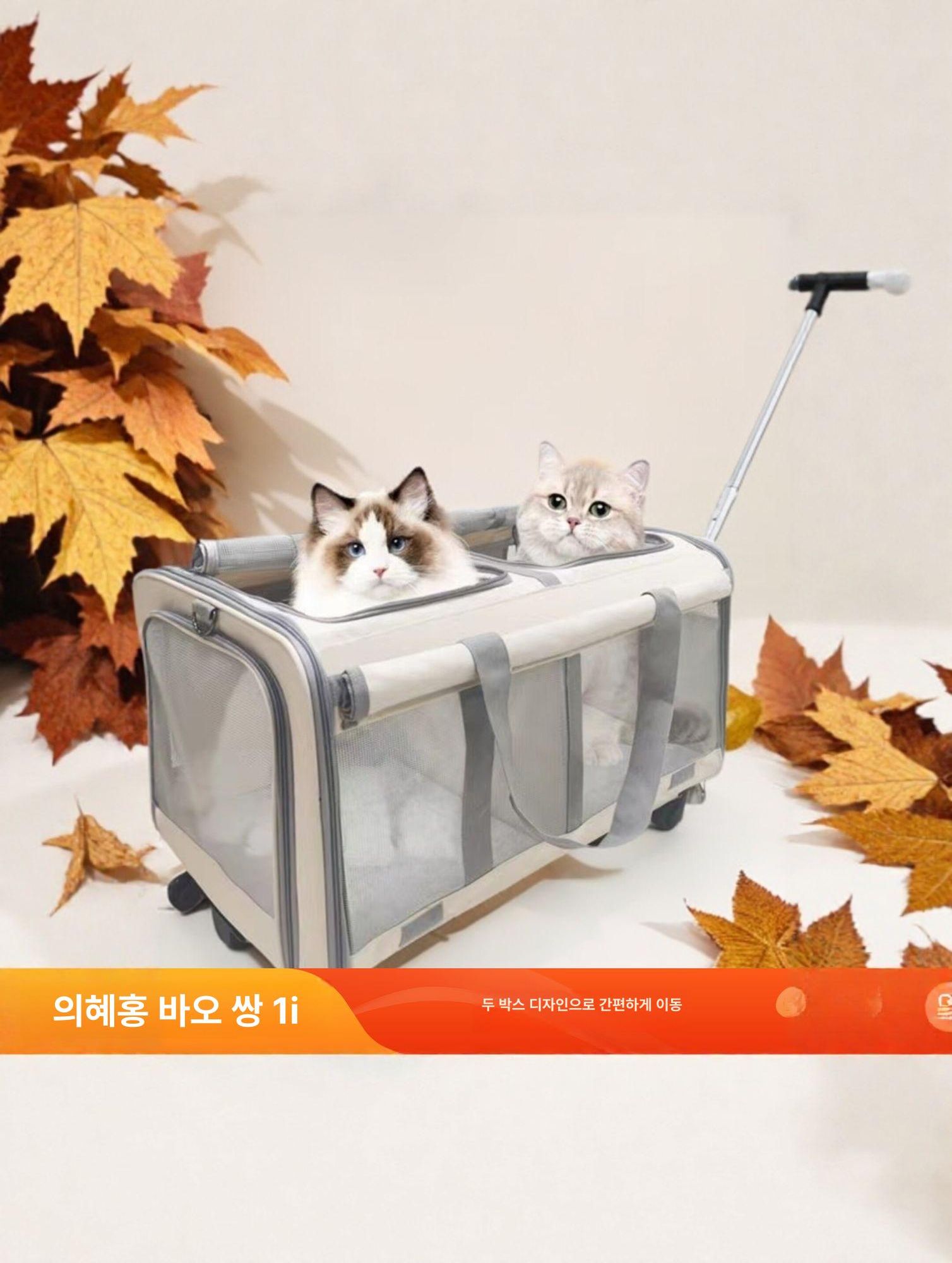 중형견이동가방 소프트켄넬 고양이캐리어 접이식 두마리 L 대용량 공간 다중 수납 가방 다중 A 반려동물 가방 - 상세 이미지 2