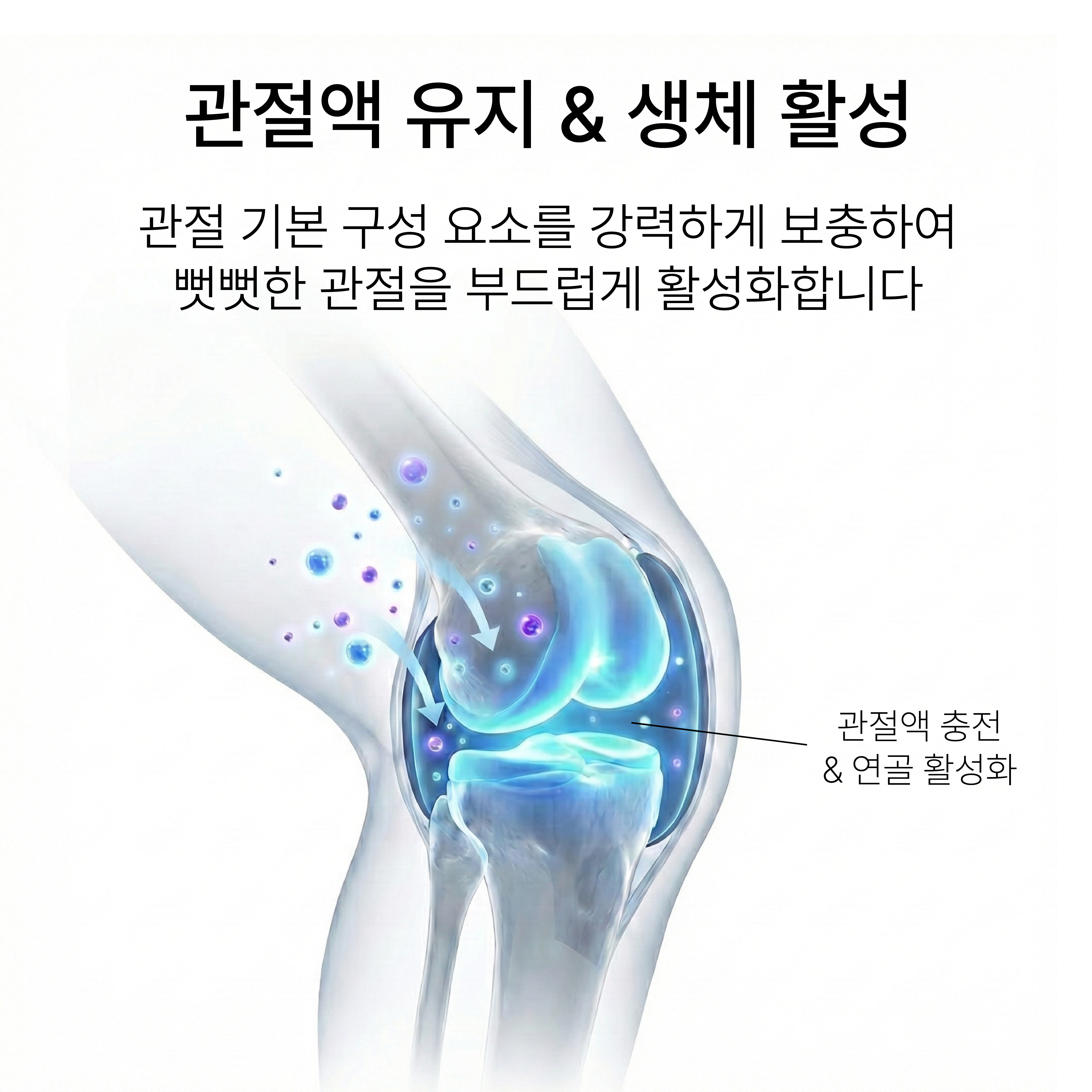 닥터리코 애드벳 세아민 강아지 슬개골 관절염 글루코사민 관절 영양제 30캡슐 이미지 7