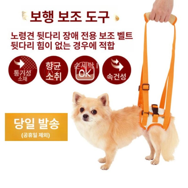 프리미엄 강아지 고관절 슬개골 보조기구 등받이 보호대 견인기 스트랩 소형견 허리둘레 28~36cm 등받이 보조 스트랩 S 허리둘레 28~36cm - 상세 이미지 3