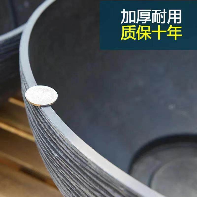 수경 재배 행운목 화분 연못 카페 식당 거실 인테리어 식물 수경식물화분 쿼츠 화이트 - 소형 - 상세 이미지 5