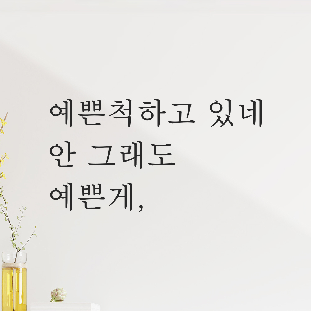 레터링 스티커 예쁜척하고 있네 안 그래도 예쁜게 L-003S 검정 - 상품 이미지