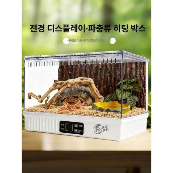 프리미엄 투명 아크릴 햄스터 도마뱀 은신처 레오파드 게코 숨숨집 패션화이트 조경없음 패션화이트 조경없음 - 상세 이미지 3