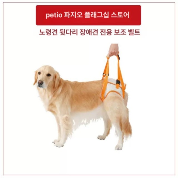 프리미엄 강아지 고관절 슬개골 보조기구 등받이 보호대 견인기 스트랩 소형견 허리둘레 28~36cm 등받이 보조 스트랩 S 허리둘레 28~36cm - 상세 이미지 2