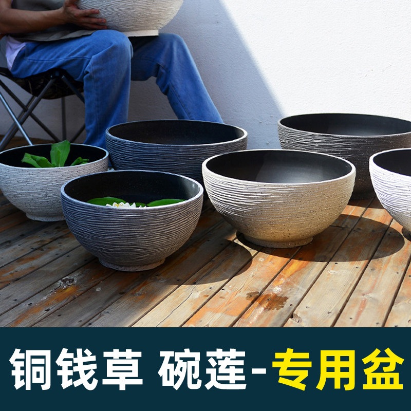 수경 재배 행운목 화분 연못 카페 식당 거실 인테리어 식물 수경식물화분 쿼츠 화이트 - 소형 - 상세 이미지 4