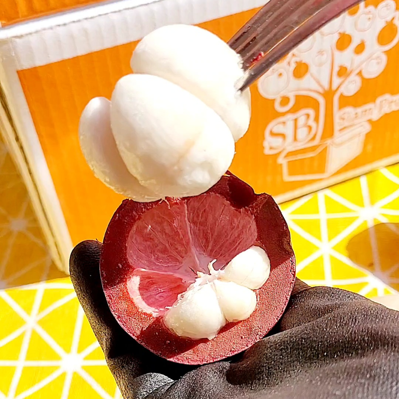 자연가득 여왕의 과일 망고스틴 500g-2kg - 상세 이미지 3