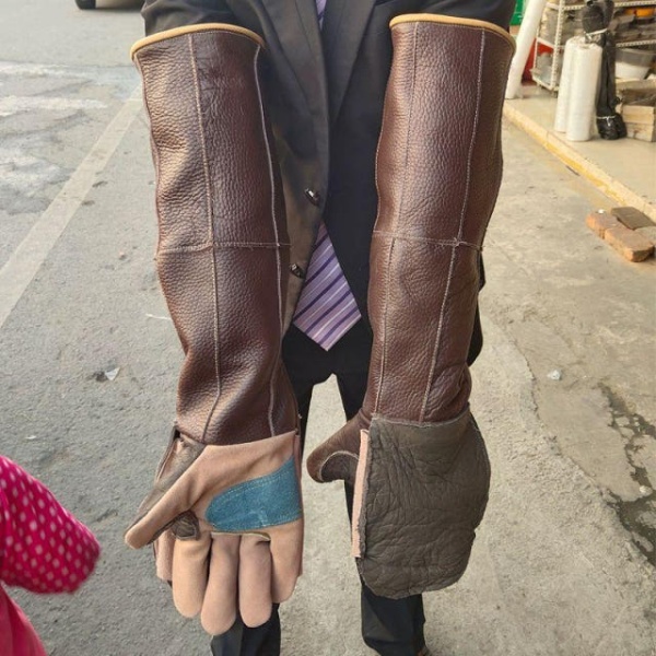 강력한 보호용 장갑 물림방지 용접용 훈련용 동물구조용 대형견 이중층 두꺼운 악어 거미 가죽 대형악어용 l 두꺼운 뱀 물림 가죽 다리 보호대 뱀물림 l - 상세 이미지 2