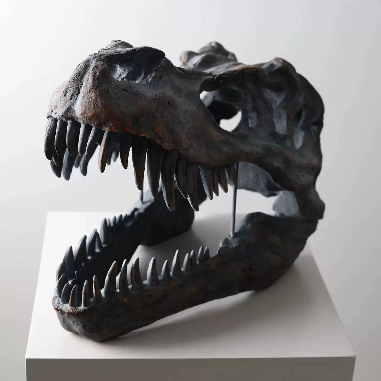 티라노사우루스 공룡 두개골 피규어 전시 모조 뼈 51x29x37cm - 상세 이미지 2